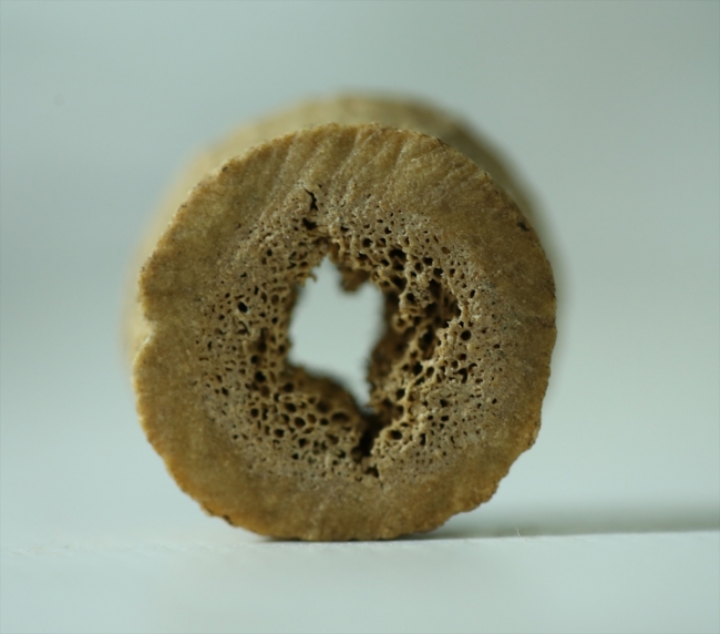 Direkli Mağarası'nda Üst Paleolitik döneme ait taştan dilgi bulundu